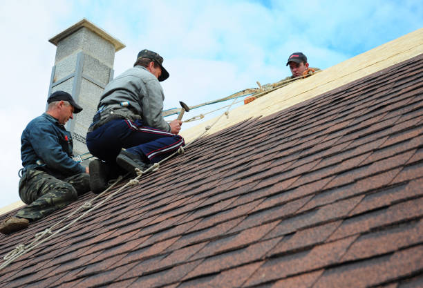 Quick and Trustworthy Emergency Roof Repair Services in Abbeville, AL